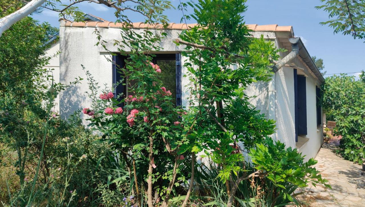 Chambre Privee Dans Maison En Garrigue 尼姆 外观 照片